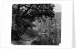 Simla by Samuel Bourne