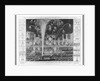 Fireworks and Illuminations by Anonymous