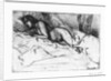 Venus by Anonymous