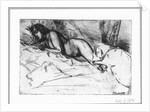 Venus by Anonymous