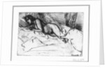 Venus by Anonymous