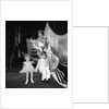 Queen Elizabeth, The Queen Mother, Prince Charles and Princess Anne by Cecil Beaton