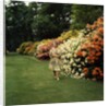 Queen Elizabeth, The Queen Mother in the gardens at Windsor Great Park by Cecil Beaton