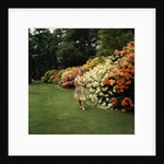 Queen Elizabeth, The Queen Mother in the gardens at Windsor Great Park by Cecil Beaton