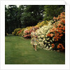 Queen Elizabeth, The Queen Mother in the gardens at Windsor Great Park by Cecil Beaton
