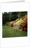 Queen Elizabeth, The Queen Mother in the gardens at Windsor Great Park by Cecil Beaton
