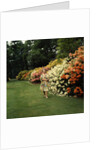 Queen Elizabeth, The Queen Mother in the gardens at Windsor Great Park by Cecil Beaton