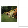 Queen Elizabeth, The Queen Mother in the gardens at Windsor Great Park by Cecil Beaton