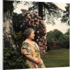 Queen Elizabeth, The Queen Mother in the gardens at Windsor Great Park by Cecil Beaton