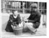 Dog Market - Buying a Puppy by Andrew Pitcairn-Knowles