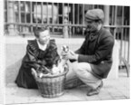 Dog Market - Buying a Puppy by Andrew Pitcairn-Knowles
