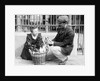Dog Market - Buying a Puppy by Andrew Pitcairn-Knowles