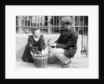 Dog Market - Buying a Puppy by Andrew Pitcairn-Knowles