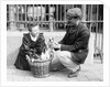Dog Market - Buying a Puppy by Andrew Pitcairn-Knowles