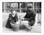 Dog Market - Buying a Puppy by Andrew Pitcairn-Knowles