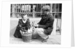 Dog Market - Buying a Puppy by Andrew Pitcairn-Knowles