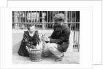Dog Market - Buying a Puppy by Andrew Pitcairn-Knowles