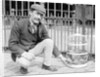 Dog Market - Dog in Bird Cage by Andrew Pitcairn-Knowles