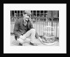 Dog Market - Dog in Bird Cage by Andrew Pitcairn-Knowles