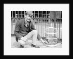 Dog Market - Dog in Bird Cage by Andrew Pitcairn-Knowles