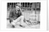 Dog Market - Dog in Bird Cage by Andrew Pitcairn-Knowles