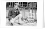 Dog Market - Dog in Bird Cage by Andrew Pitcairn-Knowles