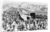 Attendant Crowds by Andrew Pitcairn-Knowles