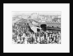 Attendant Crowds by Andrew Pitcairn-Knowles