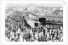 Attendant Crowds by Andrew Pitcairn-Knowles