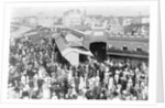 Attendant Crowds by Andrew Pitcairn-Knowles