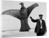 Man sized kite bird by Andrew Pitcairn-Knowles