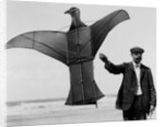Man sized kite bird by Andrew Pitcairn-Knowles