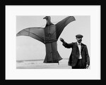 Man sized kite bird by Andrew Pitcairn-Knowles