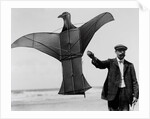 Man sized kite bird by Andrew Pitcairn-Knowles
