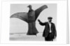 Man sized kite bird by Andrew Pitcairn-Knowles