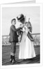 In a knot? by Andrew Pitcairn-Knowles