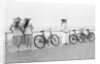 Bicycles on Promenade by Andrew Pitcairn-Knowles