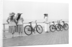 Bicycles on Promenade by Andrew Pitcairn-Knowles