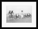 Bicycles on Promenade by Andrew Pitcairn-Knowles