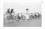 Bicycles on Promenade by Andrew Pitcairn-Knowles