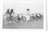 Bicycles on Promenade by Andrew Pitcairn-Knowles