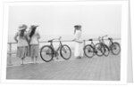 Bicycles on Promenade by Andrew Pitcairn-Knowles