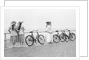 Bicycles on Promenade by Andrew Pitcairn-Knowles