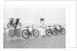 Bicycles on Promenade by Andrew Pitcairn-Knowles