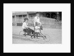 Hand Propelled Four Wheel Tandem on the Seafront by Andrew Pitcairn-Knowles