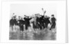 Paddling in the Sea by Andrew Pitcairn-Knowles