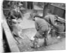 Handling very large fish by Andrew Pitcairn-Knowles