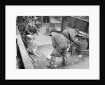 Handling very large fish by Andrew Pitcairn-Knowles