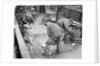 Handling very large fish by Andrew Pitcairn-Knowles