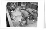 Handling very large fish by Andrew Pitcairn-Knowles